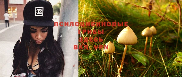 кокс Иннополис