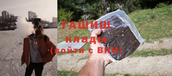 тгк Инсар