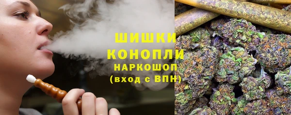 тгк Инсар