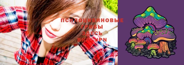 тгк Инсар