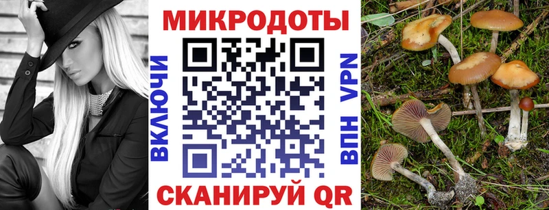 Галлюциногенные грибы MAGIC MUSHROOMS  Северодвинск 