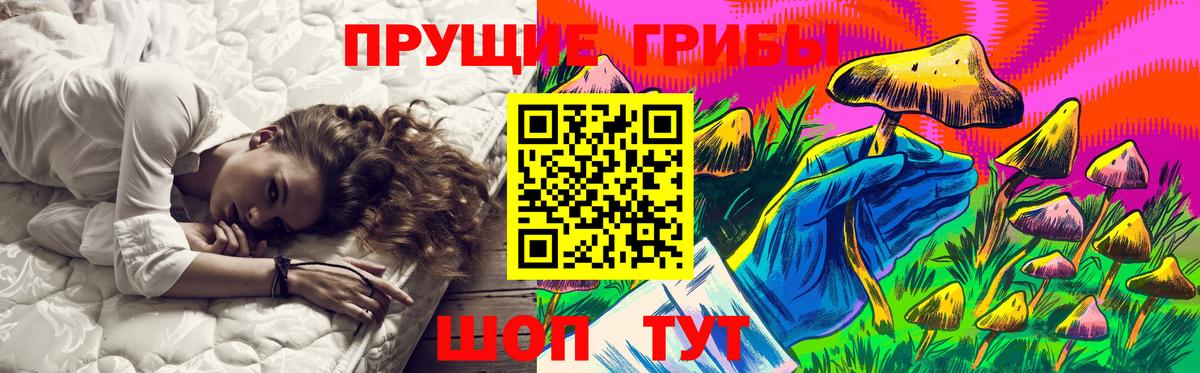 Псилоцибиновые грибы Psilocybe Северодвинск